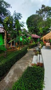 Zahrada ubytování Avocado Koh Samui
