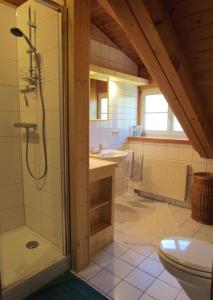 a bathroom with a shower and a sink and a toilet at Haus Bergblick in Kißlegg