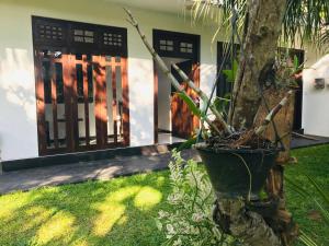 a tree in front of a house with a plant at Spring Cottage (02) in Weligama
