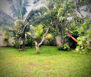 a garden with two palm trees in a yard at Spring Cottage (02) in Weligama