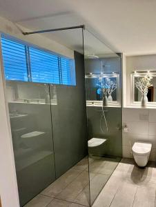 a bathroom with a glass shower and a toilet at Kleine Freiheit in Olpenitz