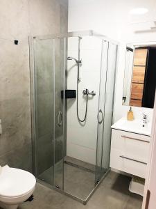 uma casa de banho com um chuveiro, um WC e um lavatório. em Apartimento Hydral Magari em Breslávia