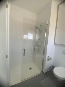 La salle de bains blanche est pourvue d'une douche et de toilettes. dans l'établissement Villa Verano Apartamentos Compartidos Villaverde, à La Oliva