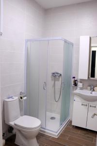 W łazience znajduje się prysznic, toaleta i umywalka. w obiekcie Lux Apartmani Novi Park w mieście Vrdnik