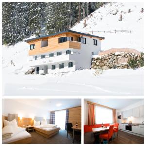 イシュグルにあるApart Stella Alpinaの雪山頂の家