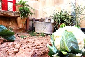 Aed väljaspool majutusasutust Il-Bàrraġ Farmhouse B&B - Gozo Traditional Hospitality