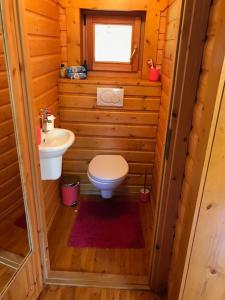 een kleine badkamer met een toilet en een wastafel bij Houten chalet/bungalow in het bos, sauna, jacuzzi in Meijel