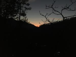 豪华帐篷周边自然景观