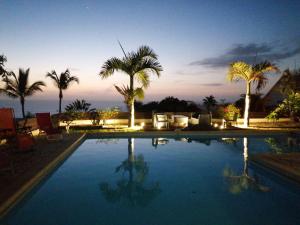 圣勒VILLA POINTE DES CHATEAUX VUE IMPRENABLE的一个有棕榈树和大海的大型游泳池