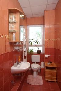 a bathroom with a toilet and a sink and a window at Airport Szálló in Tököl