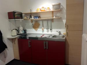 Kuhinja oz. manjša kuhinja v nastanitvi Seeblick-Appartements Ossiach