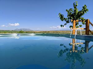 a basketball hoop and a tree reflected in the water at Casas Cuevas El Mirador con piscina y barbacoa in Fontanar