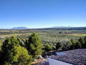 a view of a vineyard from the roof of a house at Casas Cuevas El Mirador con piscina y barbacoa in Fontanar