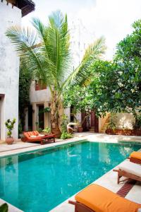 a swimming pool in a yard with palm trees at LAMU HOUSE in Lamu