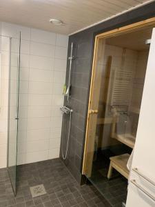 Koupelna v ubytování Stylish apartment with sauna nearby Airport