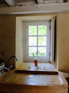 een gootsteen met een raam en een plant bij Une Maison de campagne en Bourgogne du Sud in Tournus