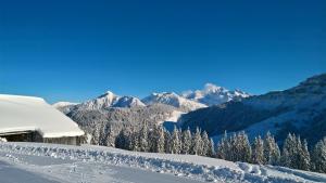 un pendio innevato con alberi e montagne sullo sfondo di Hôtel du Grand-Mont a Beaufort