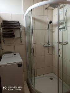 um chuveiro com uma porta de vidro ao lado de um WC em Nordlicht em Schortens