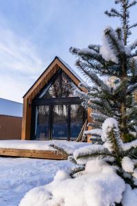Gulbity的住宿－Gulbity Camp，雪中小屋,有雪覆盖的树