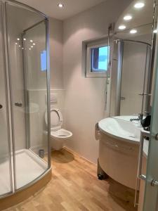 een badkamer met een douche, een wastafel en een toilet bij Teichalm Lodge Landhaus in Fladnitz an der Teichalm