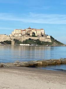 a castle on an island in the water at DUPLEX CALVI DIRECT PLAGE in Calvi