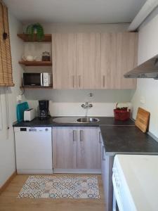 eine Küche mit einer Spüle und einer Arbeitsplatte in der Unterkunft Casa rural en Padul entre Sierra Nevada y la Costa in Granada