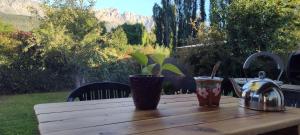 drewniany stół z 2 filiżankami i czajnikiem do herbaty w obiekcie La Serena casa w mieście El Bolsón