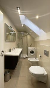 a bathroom with a toilet and a sink and a washing machine at Ian's Residence in Kranjska Gora