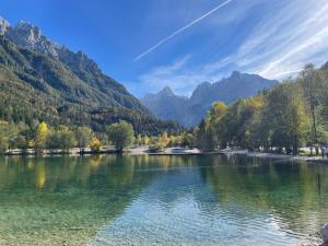 a lake with trees and mountains in the background at Ian's Residence in Kranjska Gora