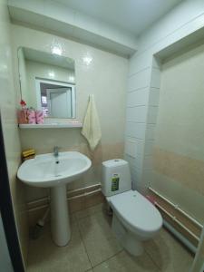 La salle de bains est pourvue d'un lavabo, de toilettes et d'un miroir. dans l'établissement Sunhome Stepanavan Guest House, à Stepanavan