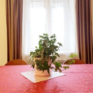 Fotografie z fotogalerie ubytování Sunhome Stepanavan Guest House v destinaci Stepanavan