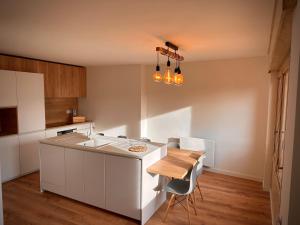 Kuchyňa alebo kuchynka v ubytovaní Appartement spacieux et lumineux à Font Romeu