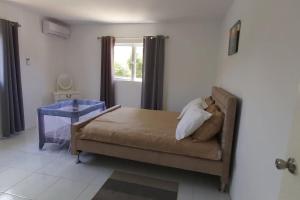 a bedroom with a bed and a window at Casa Aichi in Willemstad