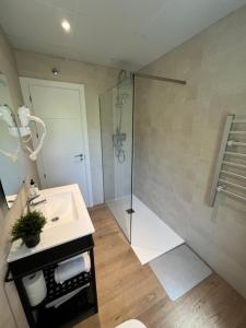 un bagno con doccia e lavandino di Alojamientos Ribera del Tajo a Talavera de la Reina