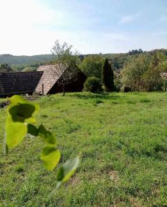 a green field with an old barn in the background at Nature Lodge Csesztve in Csesztve