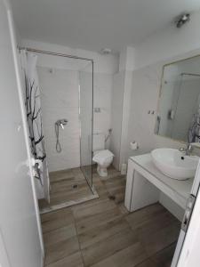 uma casa de banho com um chuveiro, um lavatório e um WC. em Golden Beach Hotel em Metamorfosi