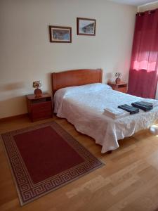 ein Schlafzimmer mit einem Bett und einem Teppich auf dem Boden in der Unterkunft Casa Arrudas in Ponta Delgada