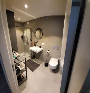 ein Bad mit einem WC und einem Waschbecken in der Unterkunft Seaside_albatross in Ķesterciems