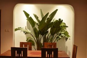 a dining room table with two chairs and a plant at Villa paisible proche des rizières in Antananarivo