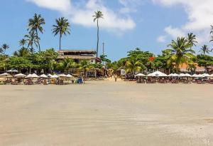 a beach with chairs and umbrellas and palm trees at Pousada Ibiscus in Jericoacoara