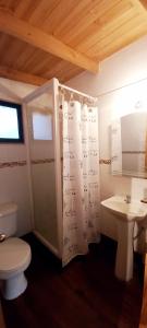ein Bad mit einem WC und einem Waschbecken in der Unterkunft Cabaña en Los Romeros Con Con in Concón