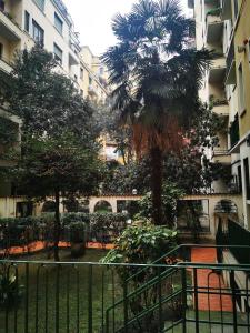 a palm tree in a courtyard next to a fence at Appartamento Diego in Milan