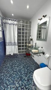 a bathroom with a shower and a toilet and a sink at La Arena sunflowers in Puerto de Santiago