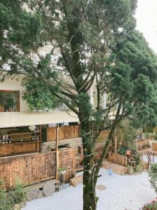 Khu Chi Lăng的住宿－Nắng Hiên Nhà Villa - Homestay Đà Lạt，建筑物前的树