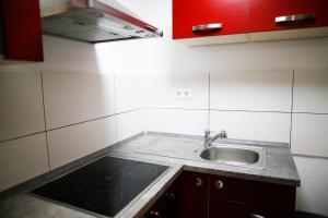 Η κουζίνα ή μικρή κουζίνα στο Schlossberg Apartments & Garten in der Natur & unweit vom "Thüringer Meer" +62 φωτογραφίες
