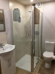 uma casa de banho com um chuveiro, um WC e um lavatório. em Woodview Lodge em Chesterfield