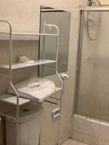 グアヤキルにあるHermoso departamento cerca de todoのバスルーム(シャワー、シンク、シャワー付)