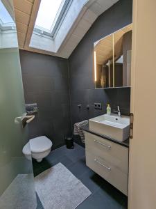 uma casa de banho com um WC e um lavatório com uma clarabóia em Ferienwohnung Murnauer Moos em Murnau am Staffelsee