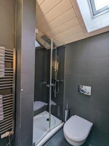 a bathroom with a toilet and a shower with a window at Ferienwohnung Murnauer Moos in Murnau am Staffelsee