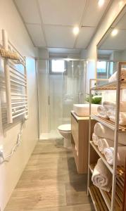 a bathroom with a shower and a toilet and a sink at Apartamentos LÓRIEN Candanchú in Candanchú